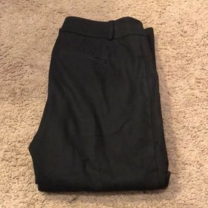 Dress pants